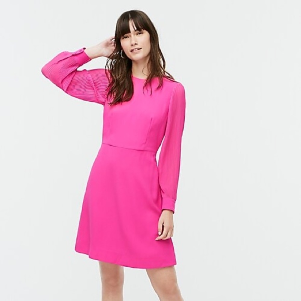 J. Crew Pleated Sleeve A-Line Dress